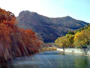 天天彩好彩天天免费，强化地面